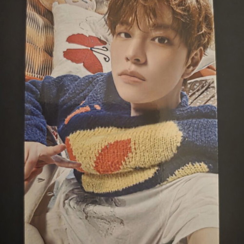 Stray Kids 6th Fanmeeting Pob Photocard Seungmin new condition