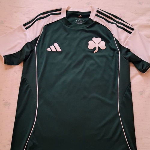Adidas Panathinaikos 2025-26 home shirt, size M, with Tete name set