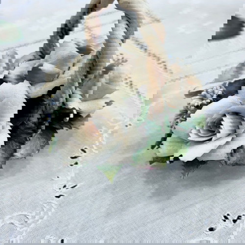Καλαθάκι capodimonte