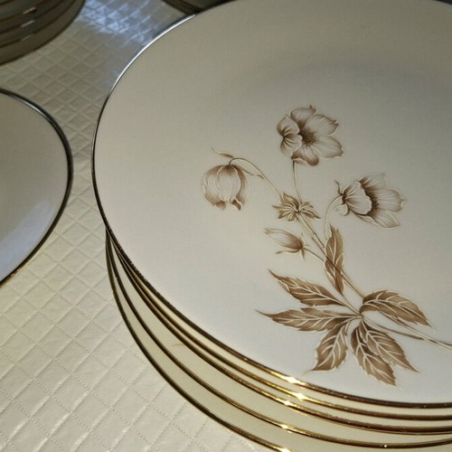 Scherzer porcelain dinnerware set used, pack of 35 pieces