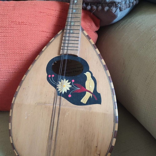 Mandolin used, Italian and German harmonicas