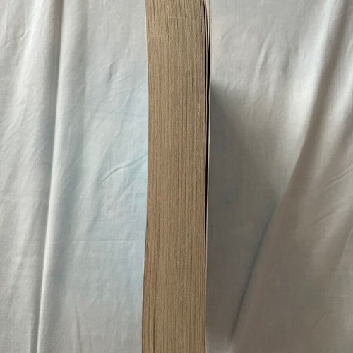 99 Days by Katie Cotugno like new English book