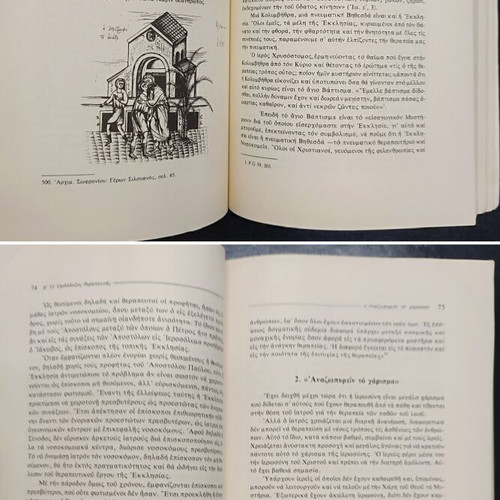 Orthodox Psychotherapy book