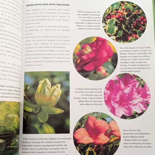 Mediterranean Gardens book on garden architecture and design