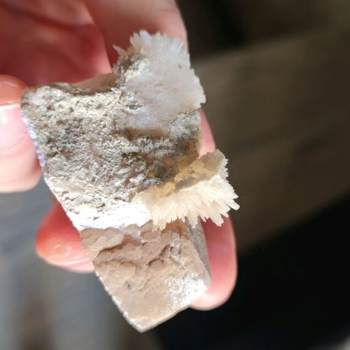 Asvestitis new, Greek specimen for collection