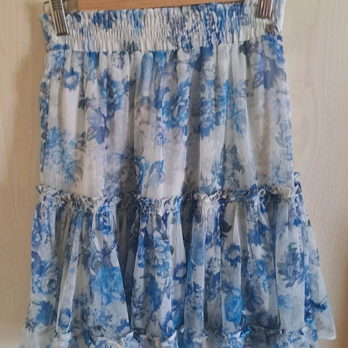 Women's skirt guess