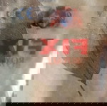  Ποτήρια μπύρας FIX 0,5L TEM.6