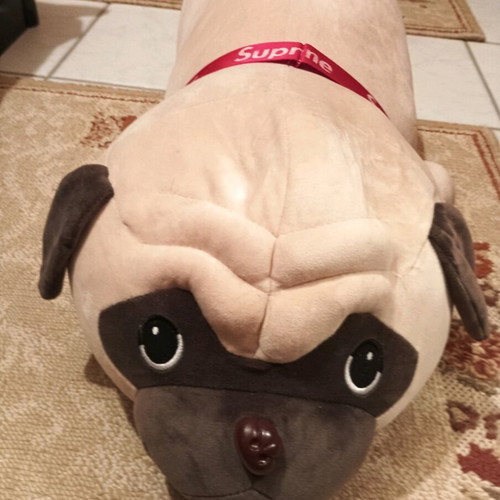 Plush Bear New