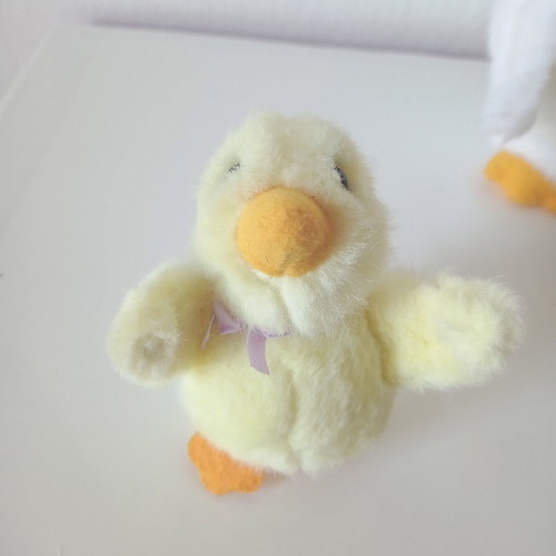 Ducks new set with large and small duck