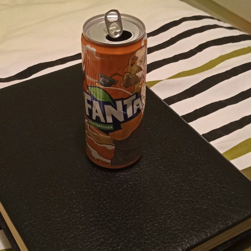 Fanta collectible can used