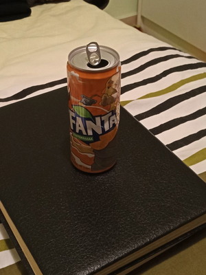Fanta collectible can used