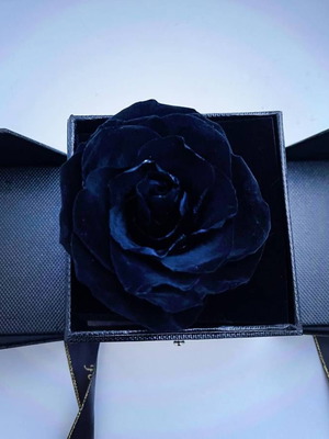 Forever Rose black with jewelry case in luxury box new