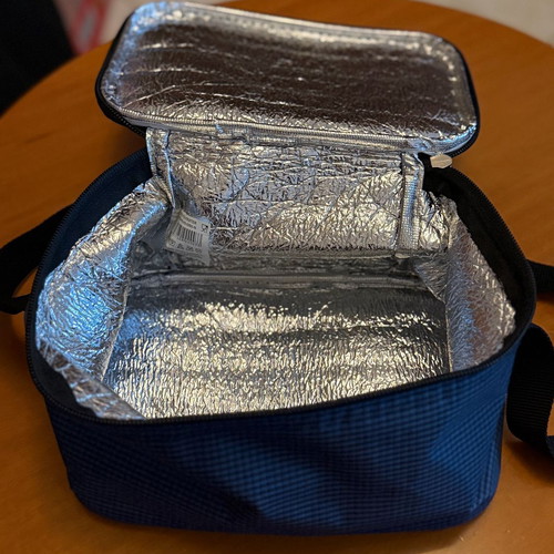 Insulated Lunch Bag blue checkered like new