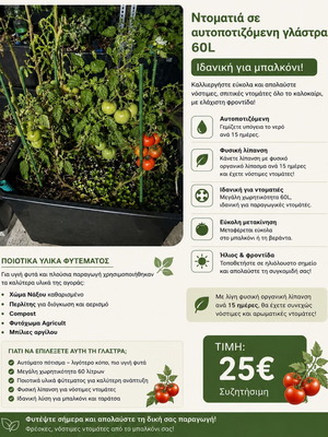 Tomato plant in self-watering pot 60L used, ideal for balcony