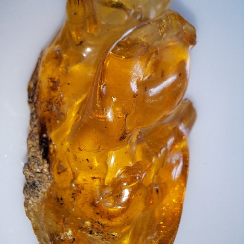 Baltic amber with insects, new, 51.48 g, millions of years old
