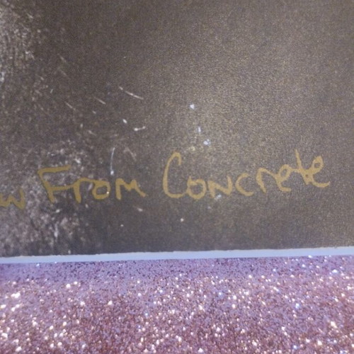 The Rose That Grew From Concrete book like new, English