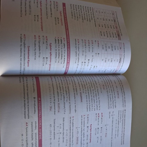 Savvalas Mathematics Grade 5 textbook like new