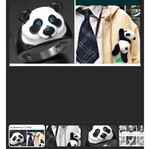 Panda brooch and ring set new