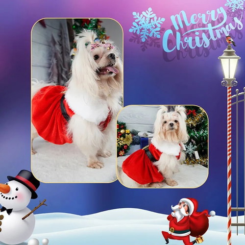 Santa Girl dog dress large new, red velvet with black belt and white fur