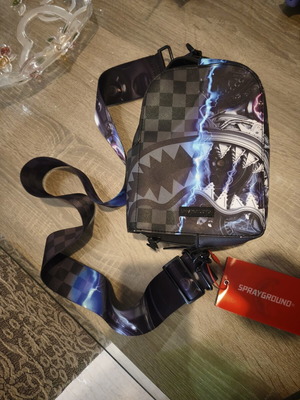 Sprayground bag