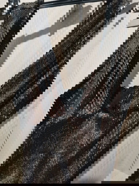 φόρεμα