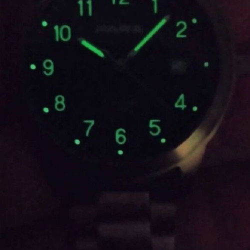 Para Titanium Edition German watch with Citizen Japan movement