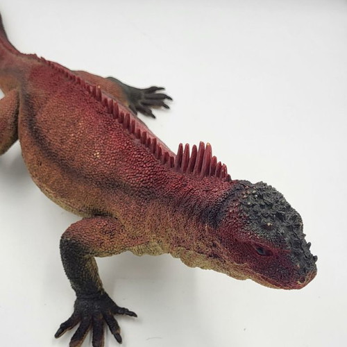 Silicone iguana XL used, in various colors