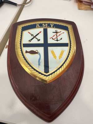 Dmy wall shield used without plaque