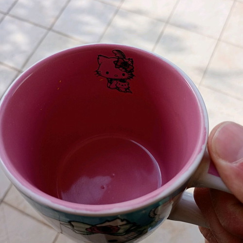 Charm My Kitty mug used