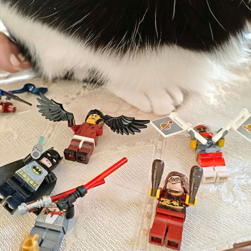 Lego figures used, various pieces