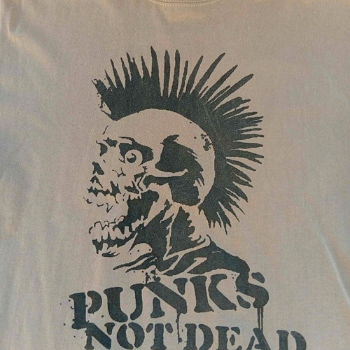 Men's T-shirt Punks Not Dead print, like new, beige, Fruit of the Loom, size L