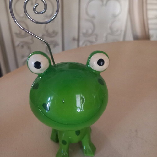 Decorative frog used with spring on head