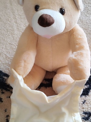 Plush Cuckoo Toy used, needs battery replacement
