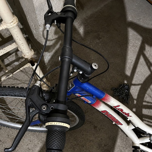 Everest Lady city bike with handlebar gears, white
