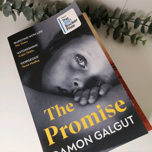 The Promise by Damon Galgut used, paperback