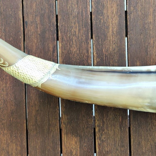 Buffalo horn with handmade dragon carving like new