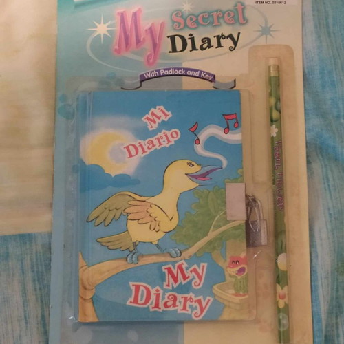 Diary with padlock and pencil new