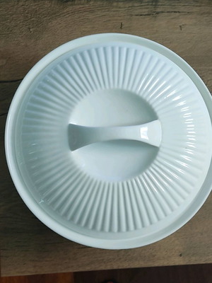 Baking and serving dish unused