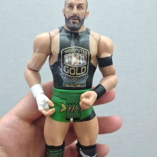 Bobby Fish WWE Pro-Wrestling Action Figure Toy like new