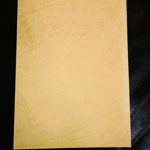 The Voice of Silence The First Steps in Occultism 2nd Edition New