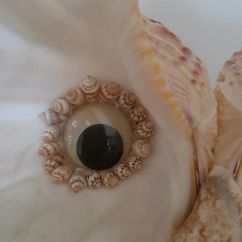 Decorative owl figurine made of large shells used