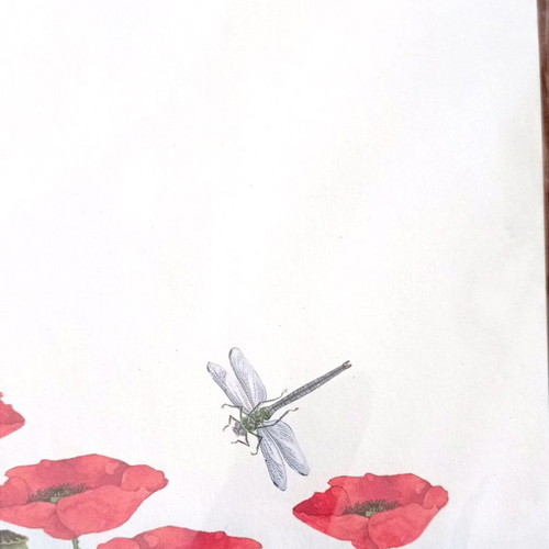 A4 stationery paper with poppy design new, 24 sheets