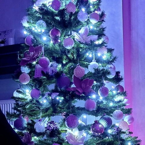 Christmas tree used, height 2.40 m