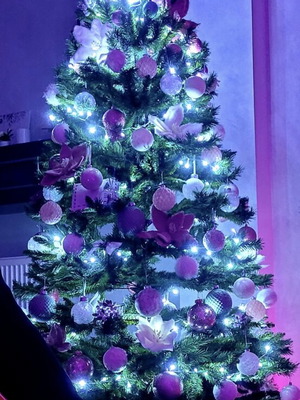 Christmas tree used, height 2.40 m
