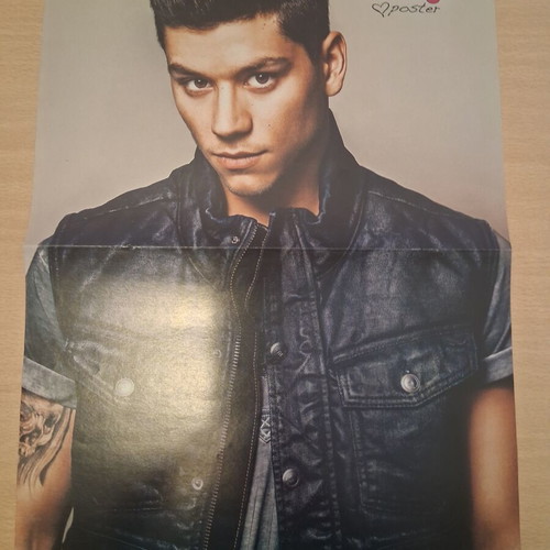 Teenage Girl Mike Ross Lynch Poster new