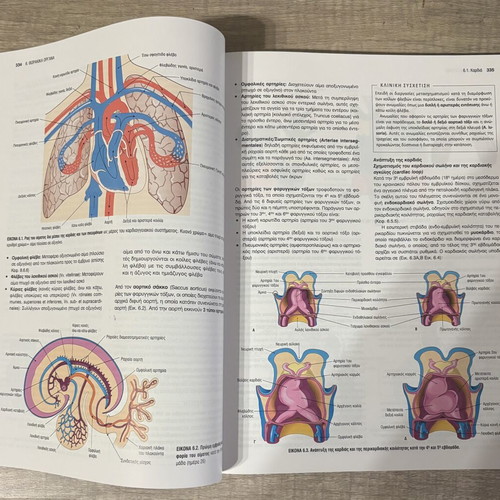 Sobotta Anatomy with Color Atlas 1st Greek Edition new academic book