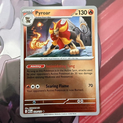 Pyroar Holo 024/132 Mega Evolution card new condition
