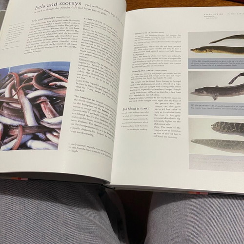Teubner Fish and Seafood book new, English