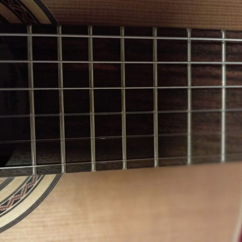 Classical guitar 7/8 new with case, cedar top, mahogany sides