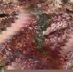 λαιμός